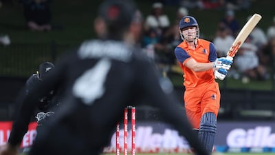 Netherlands allrounder Bas de Leede will turn out for Desert Vipers at this year's ILT20. AFP