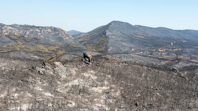 Greece's fire service says the blaze is 'still out of control' in Dadia National Park