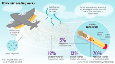 This graphic shows the release of salt particles into a cloud and the flare devices used to release them. Ramon Penas / The National