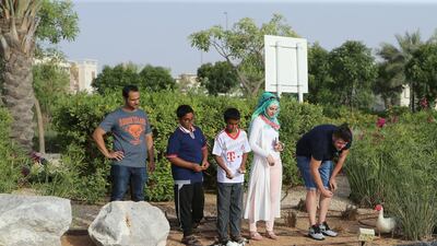 Al Ghadeer's ducks are saved from removal. Ravindranath K / The National