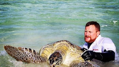 Winston Cowie, who works with Environment Agency-Abu Dhabi, catching a turtle to tag.