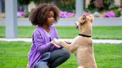 Quvenzhané Wallis takes on the title role in the remake of the 1982 musical. “You forget that she is only 11 years old,” says the actor Jamie Foxx of his young co-star. Barry Wetcher / Sony / Columbia Pictures / AP Photo