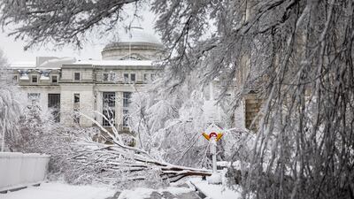 Downed trees cover 10th Street outside the Internal Revenue Service. EPA