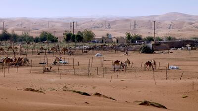 The Pingyao International Photography Festival will run from September 19 to 23, and features the work of art student Mezna Alzaidi along with her classmates. Photo: Zayed University