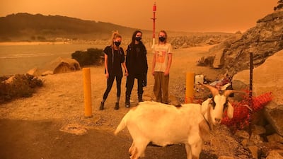 People stand next to their goat as bushfires burn, in Narooma, New South Wales, Australia. EPA