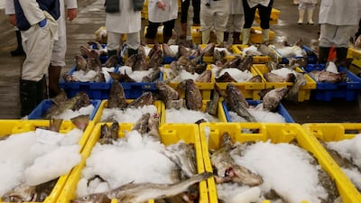 FILE PHOTO: Fish buyers stand next to boxes of cod during the daily auction at the fish market in Grimsby, Britain November 17, 2015. REUTERS/Phil Noble/File Photo