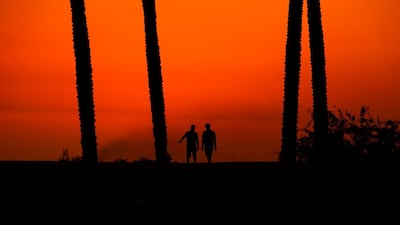 Iraqi farmers inspect palm trees in the southern port city of Al Faw, 90 kilometres south of Basra, near the Shatt Al Arab and the Gulf. AFP