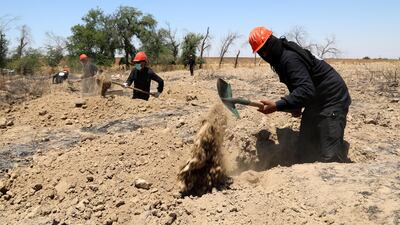 A Syrian forensic team works at a site believed to be a mass grave, in Raqqa city, northeastern Syria. EPA