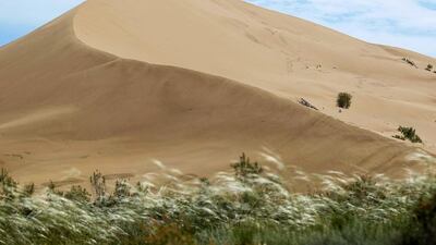 Above, the Singing Sands, a dune formation that generates a low-pitched, organ-like sound in dry weather. Shamil Zhumatov / Reuters