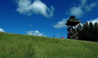 Off the Grid and Forty Feet Up Airbnb listing in Oregon. Photo: Airbnb