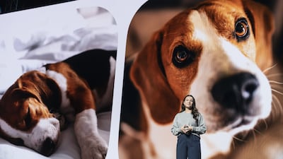 Alana Gomez-Solis, corporate marketing and communications specialist at Samsung Electronics America, at CES. Bloomberg