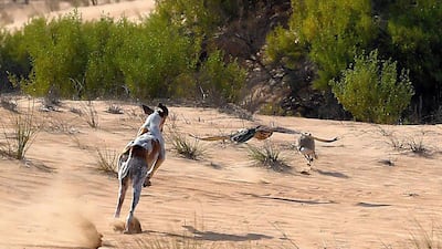 The poetry competition will be judged by a panel of leading poets