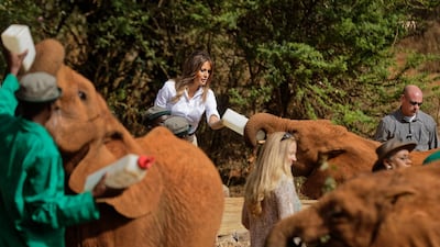 US First Lady Melania Trump feeds a baby elephant in Nairobi. Ben Curtis / AP Photo