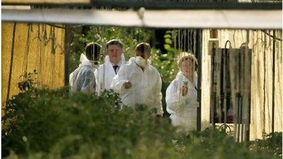 Staff of Berlin's Robert Koch Institute wear protective gear as they investigate an organic farm that had been identified as a possible source of the deadly outbreak of E coli. Odd Andersen / AFP Photo