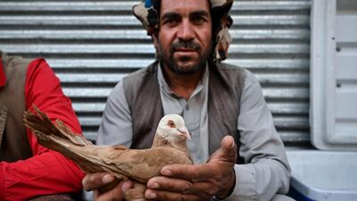 A bird vendor holds a pigeon.
