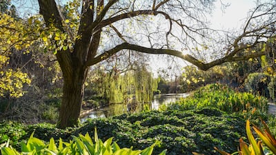 The quirky attraction is in Adelaide's Botanic Gardens