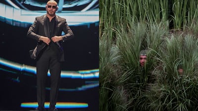 Dressing up as Pitbull or the bushes from Bad Bunny’s Super Bowl halftime show is among this year’s Halloween costume ideas. Getty Images