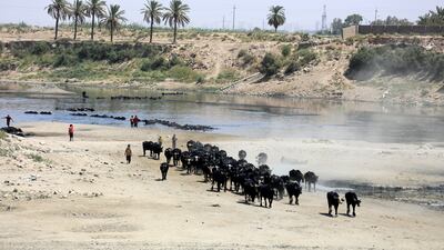 Low rainfall and high temperatures, such as here at the Diyala river in Iraq, are problematic for the Mena region's struggle to redress climate change. EPA