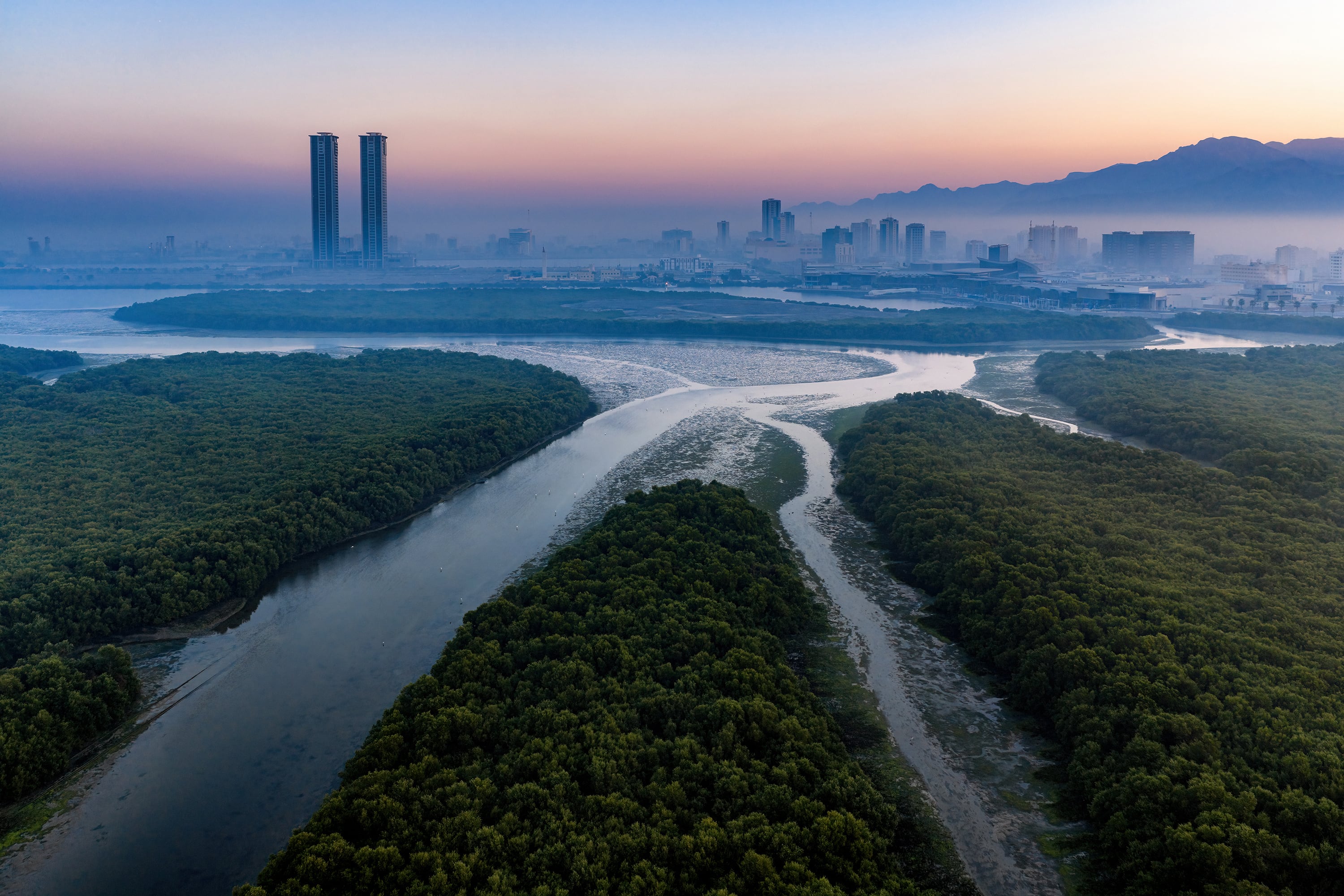 Middle East's majestic mangroves captured in photography competition