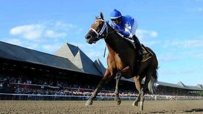 Questing will compete in the Breeders' Cup. New York Racing Association / AP Photo