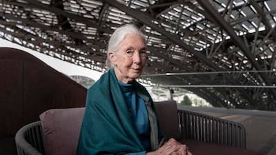 Dr Jane Goodall opened her first regional office in the Arab world supported by Expo City Dubai. Her work as author ran to dozens of books, with 1999's bestseller Reason for Hope: A Spiritual Journey a hit with young readers. Antonie Robertson/The National