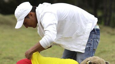 A shepherd dresses one of his sheep in a Colombia national football team jersey before a Colombia vs. Brazil football sheep match in Nobsa, Colombia on Sunday. The match was part of the International Poncho Day, celebrated every year in this region of central Colombia where local craftsmen make sheep wool ponchos using ancestral techniques. AP Photo/Javier Galeano
