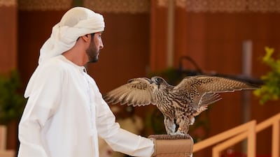 The most expensive falcon at this year's Adihex, the Gyr Pure 3219, was sold for Dh255,000. This year's auction featured a live online bidding platform. Pawan Singh for The National