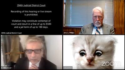 This image from video shows a hearing from the 394th Judicial District Court of Texas. The hearing took a detour when an attorney showed up looking like a kitten. A filter that had been activated on the attorney's device obscured his appearance and made him look like a cat. Judge Roy Ferguson shared the short video clip of the mishap on YouTube. The judge says everyone involved handled the situation with professionalism and grace. (Texas Department of Criminal Justice via AP)