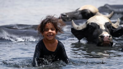 A young Iraqi herder lets buffaloes cool down in wastewater filling a dried-up stretch of the Diyala River, in Al Fadiliyah district, east of Baghdad. AFP