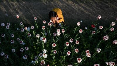 A girl poses for a pictures during the annual Tulip Festival in New Delhi. AFP