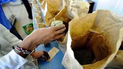 A worker sorts coffee beans according to quality at a factory in the Kenyan capital Nairobi. Tony Karumba / AFP