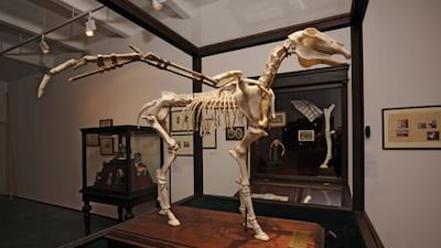 The catch is that every detail of the Al Buraq story, from the bones to the professors and their findings, is a figment of Baalbaki’s imagination.