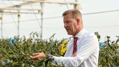 Ian Summerfield, chief executive of Elite Agro at the farm in Al Ain.