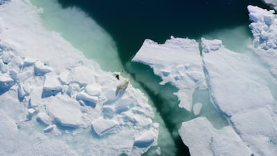 The footage in the documentary is stunning.