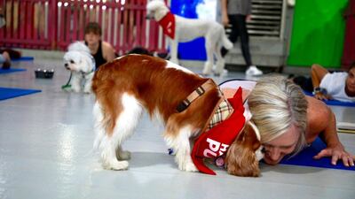 Sessions are run ad hoc, but six more are set to take place in 2019. Karma Gurung / The National