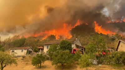 A wildfire burning in the Jura department in the Bourgogne-Franche-Comte region, France, in this still image taken from a social media video. Reuters