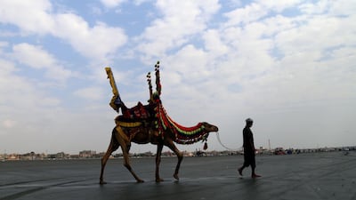 A man leads his camel for paid rides in Karachi, Pakistan. EPA