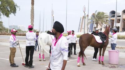 Grooms and riders prepare the horses for the closing Ceremony of the Pink Caravan Ride 2017 at Zayed Sports City in Abu Dhabi on March 17, 2017. Reem Mohammed / The National