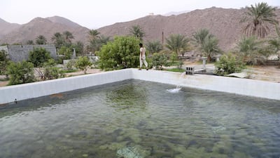 In the past 20 years Wadi Al Helo has undergone a transformation. Chris Whiteoak / The National