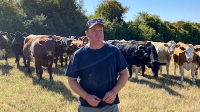Farmer Robert Gale with his livestock in Sussex. Thomas Harding / The National