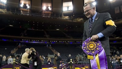 Best in Show winner Miss P, a Canadian Beagle and handler William Alexander stand in the winners circle at the 139th Westminster Kennel Club Dog Show in New York, New York, USA, 17 February 2015. The annual dog show, which features dogs from all over the United States and around the world, is taking place on 16-17 February 2015. Stephen Chernin / EPA