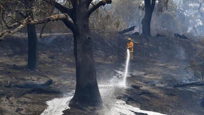 A Country Fire Authority (CFA) firefighter at work at Clovemont Way in Bundoora, Melbourne, Australia. EPA