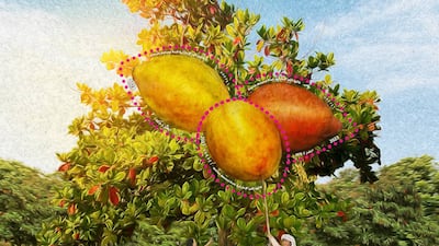 The Emirati Almond Fruit stamp is available for Dh9. Photo: Emirates Post