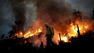 A Brazilian fire brigade member attempts to control a fire in a tract of the Amazon jungle in Apui, Amazonas State, Brazil. Reuters
