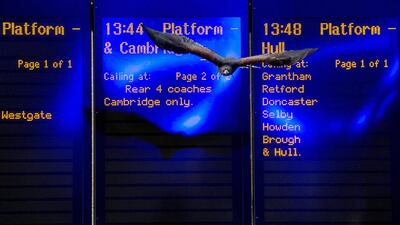 Max Bell and Denise keep the pigeons at bay in the western concourse of Kings Cross. Chris J Ratcliffe / Getty Images