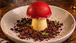 The strawberry forest fraisier is like a scene out of Alice in Wonderland. Photo: Readles by Chef Sperxos