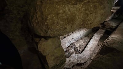 There has been no reveal on when archaeologists plan to open the sarcophagus. However, they said they will allow for media to come and cover the event when they decide to do so. AFP