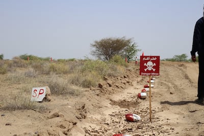 A minefield in Mokha. Photo: Halo Trust