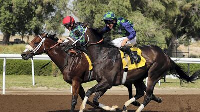 Thegreatcollection, ridden by Adrie de Vries, wins the Jebel Ali Classic in Dubai on Friday. Chris Whiteoak / The National