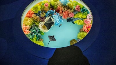 The figurines area tells the story of Japan’s space exploration efforts, food scene and passion for anime.